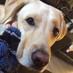 Meet your Posher, Francesca