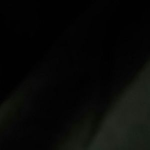 Meet your Posher, Larry