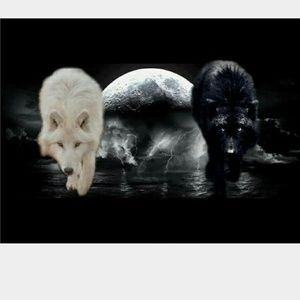 Meet your Posher, Rosaura