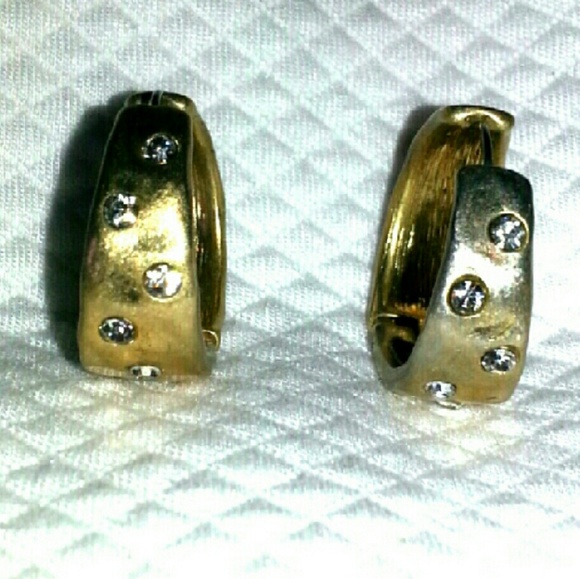 Lia Sophia Hermatite Gem and Gold Hoop Earrings - Picture 1 of 4