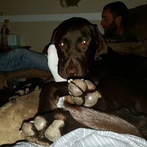 Meet your Posher, Rileigh