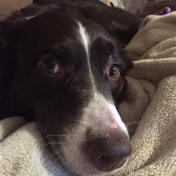 Meet your Posher, Veronica - Picture 1 of 1