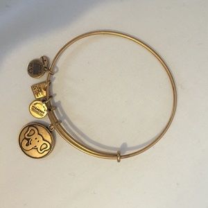 Alex and Ani bracelet