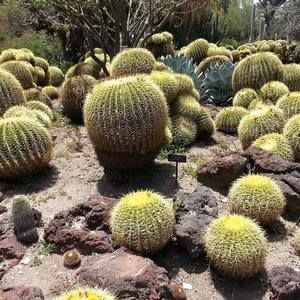 Meet your Posher, Kobe