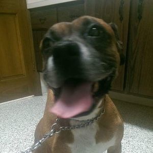 Meet your Posher, Brian