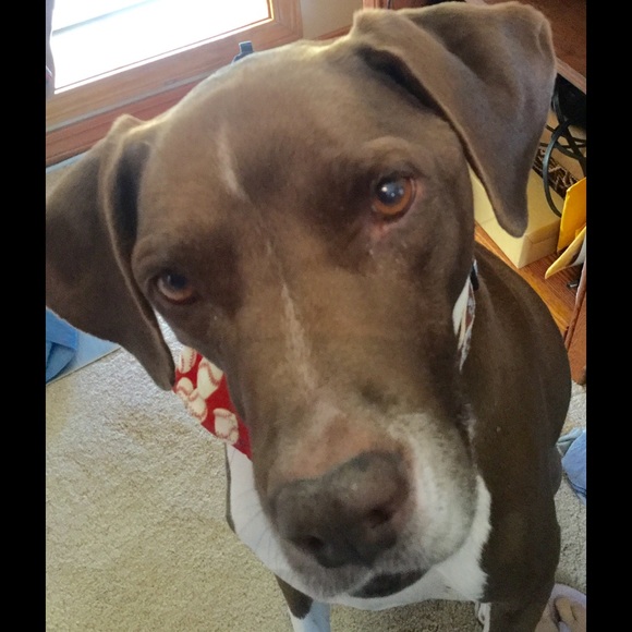 😃❤️LET'S BUNDLE! 4/$20!($10 items or less)‼️ - Picture 2 of 4