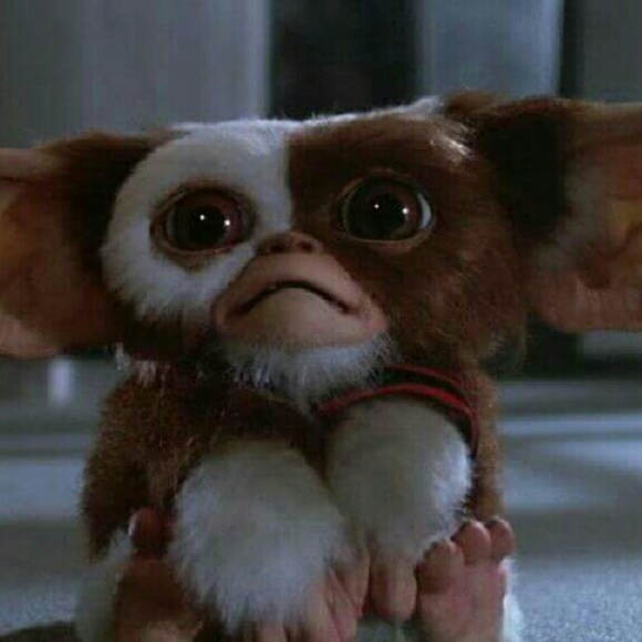 Meet your Posher, Jeannette