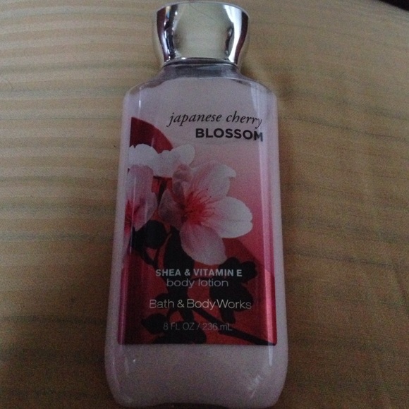 Japanese Cherry Blossom
