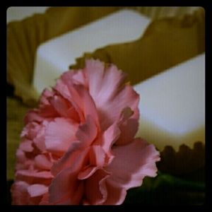 Homemade Organic Coconut Oil Soap, Be a 10!