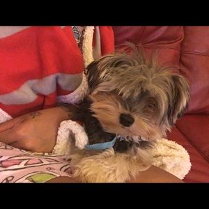 Meet your Posher, Tierra