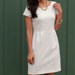 Brand New Ann Taylor 00