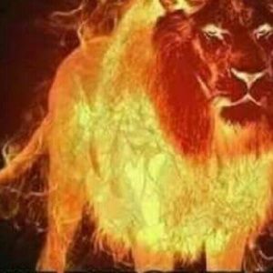 Meet your Posher, Felipe