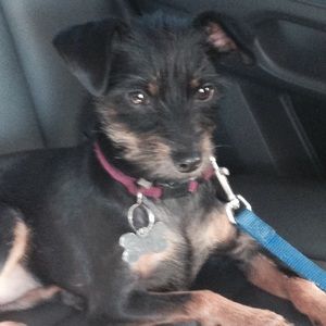 Meet your Posher, Mina