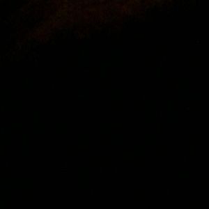 Meet your Posher, Nona