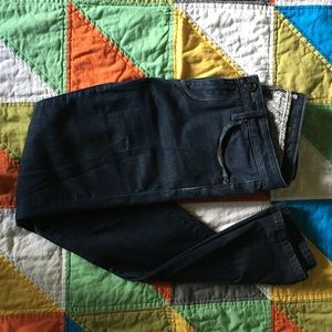 || Vigoss Skinny Jeans