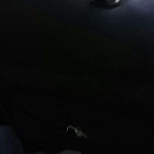 Meet your Posher, Deven