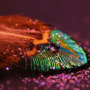 Meet your Posher, Aimee