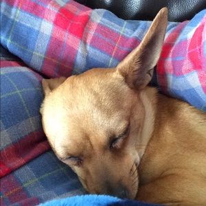 Meet your Posher, Christine