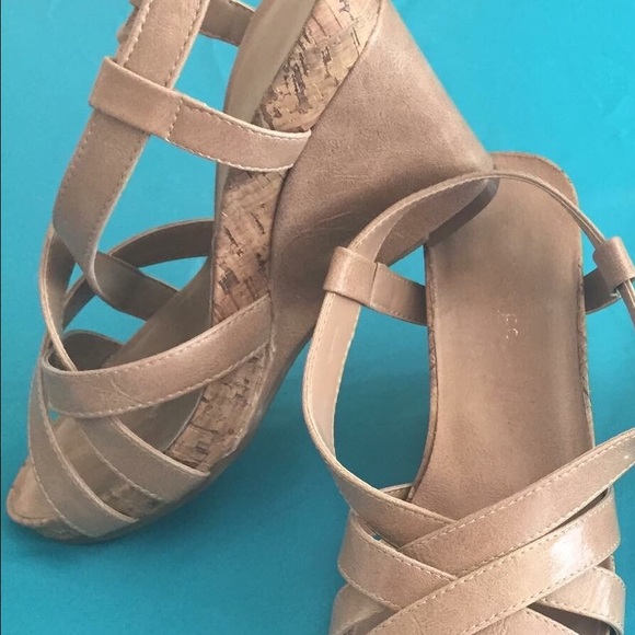 Aerosole wedges