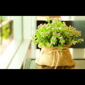 Meet your Posher, Teri