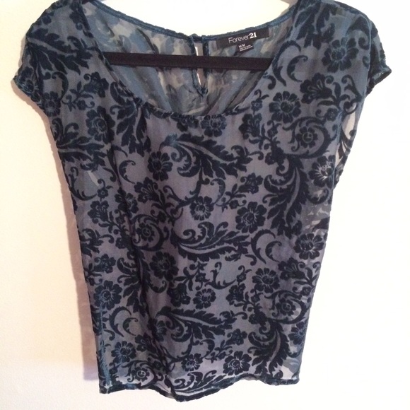 Sheer burnout velvet short-sleeved top