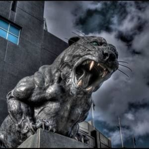 Meet your Posher, Misty