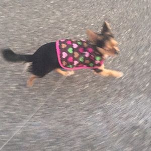 Meet your Posher, Jessica