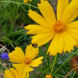 Meet your Posher, Mariam