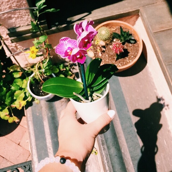 Meet your Posher, Samantha - Picture 3 of 4