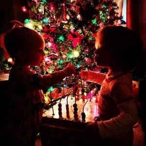 Meet your Posher, Marie