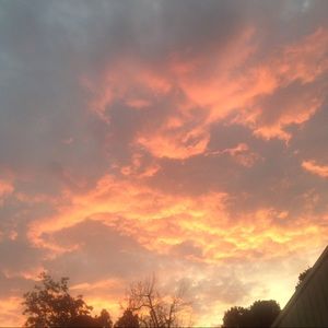 Meet your Posher, Hadley