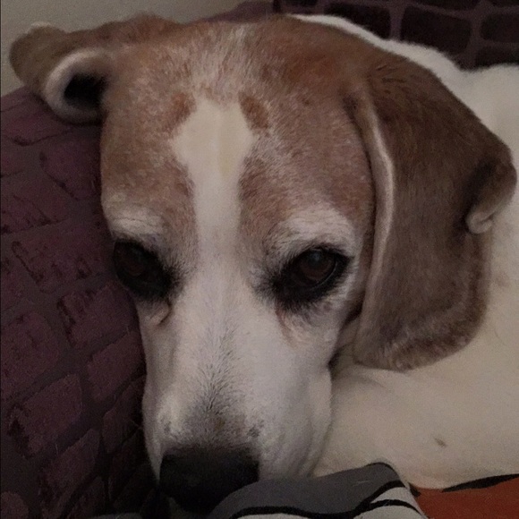 Meet your Posher, Joanne