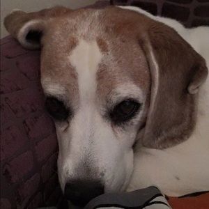 Meet your Posher, Joanne