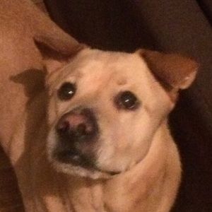 Meet your Posher, Zach