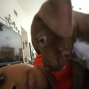 Meet your Posher, Angel