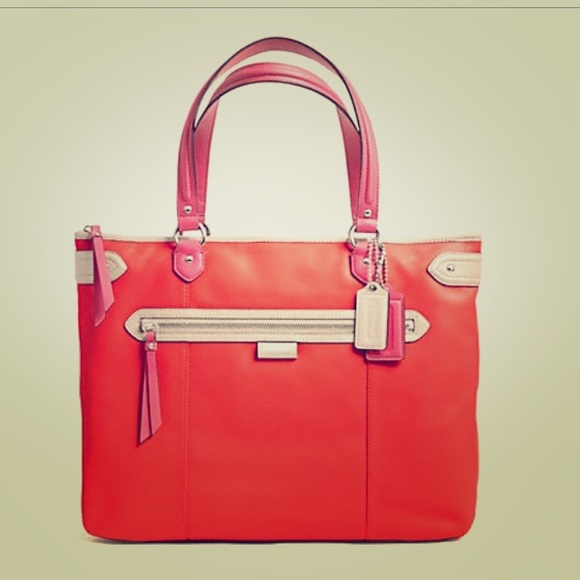 PICTURES COACH DAISY SPECTATOR