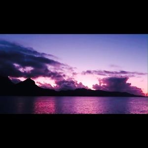 Meet your Posher, Savannah