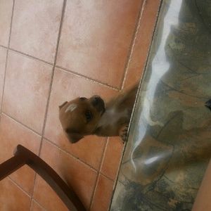 Meet your Posher, Francheska