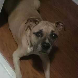 Meet your Posher, Charlotte