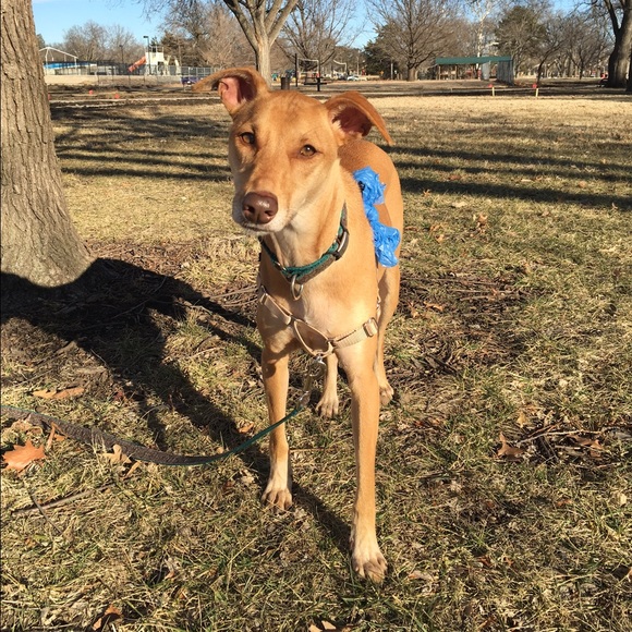 Meet your Posher, Malaina