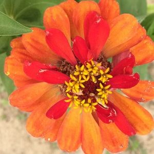 Meet your Posher, Ava