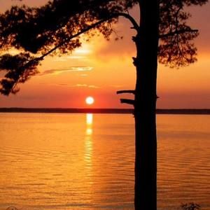 Meet your Posher, Sue