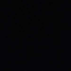 Meet your Posher, Isabella