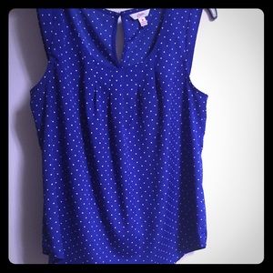 Nwot royal blue and white polka dot sleepless top