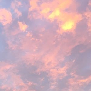 Meet your Posher, Lina