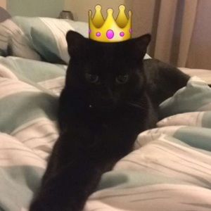 Meet your Posher, Amber