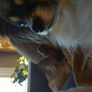 Meet your Posher, Robin