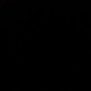 Meet your Posher, Raphael