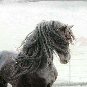 Meet your Posher, Michele