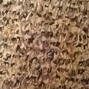 Meet your Posher, Ariana